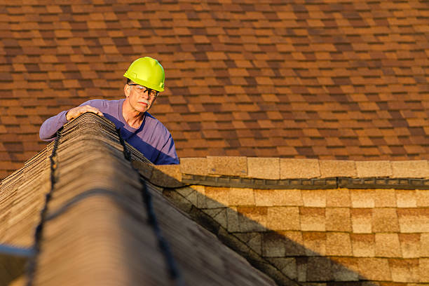 Best Roof Repair Specialists  in Nneconne, WI